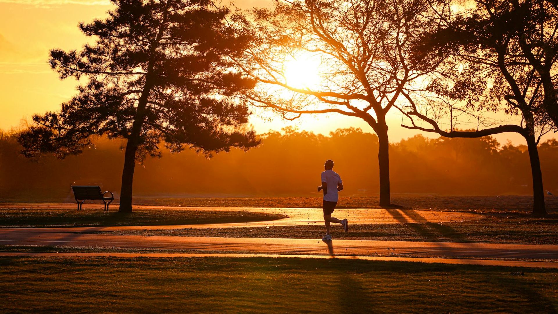 Person running outdoors in a foggy green park during sunrise